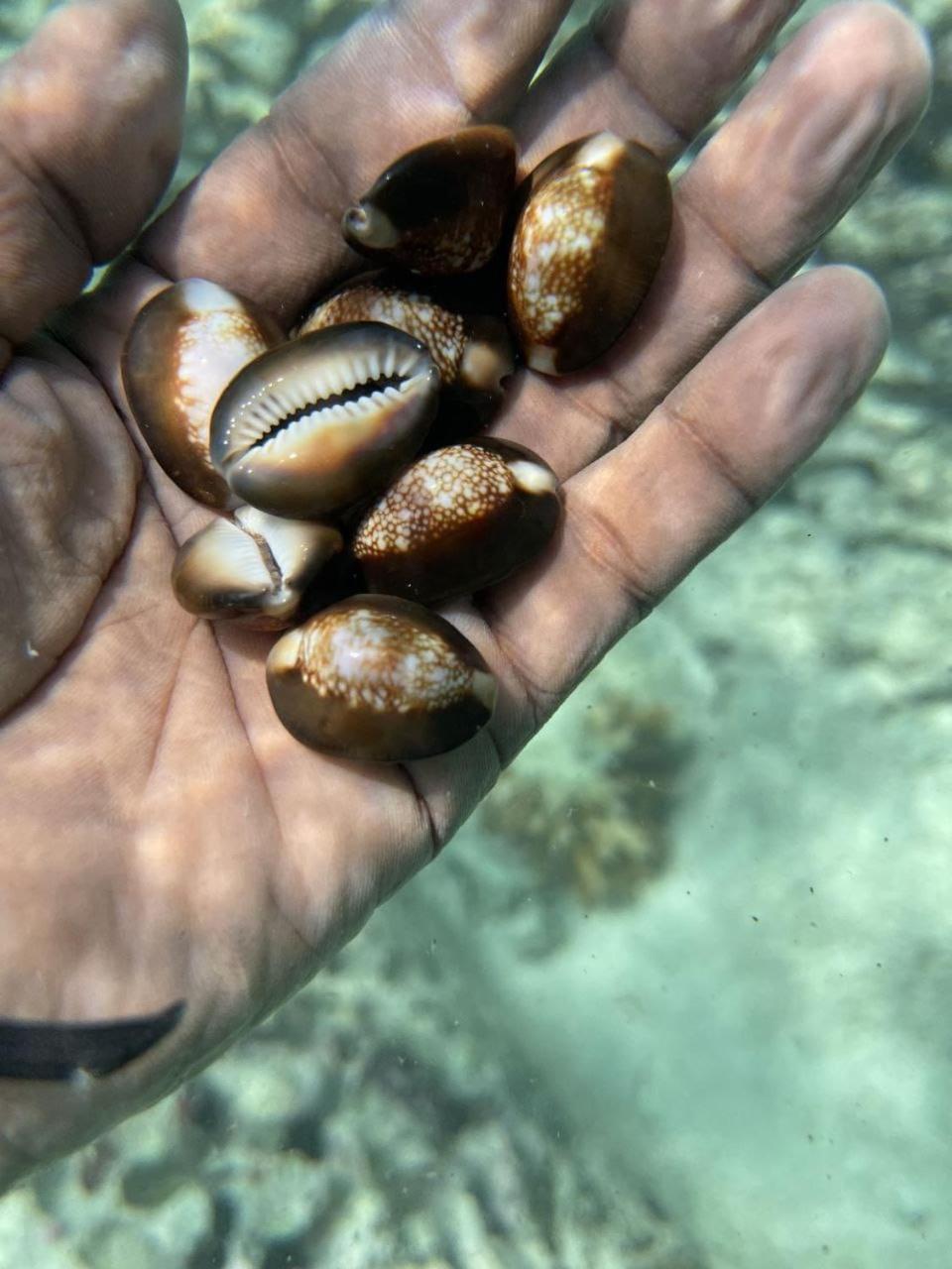 Mamello Beach Club Maldives Feridhoo Kültér fotó