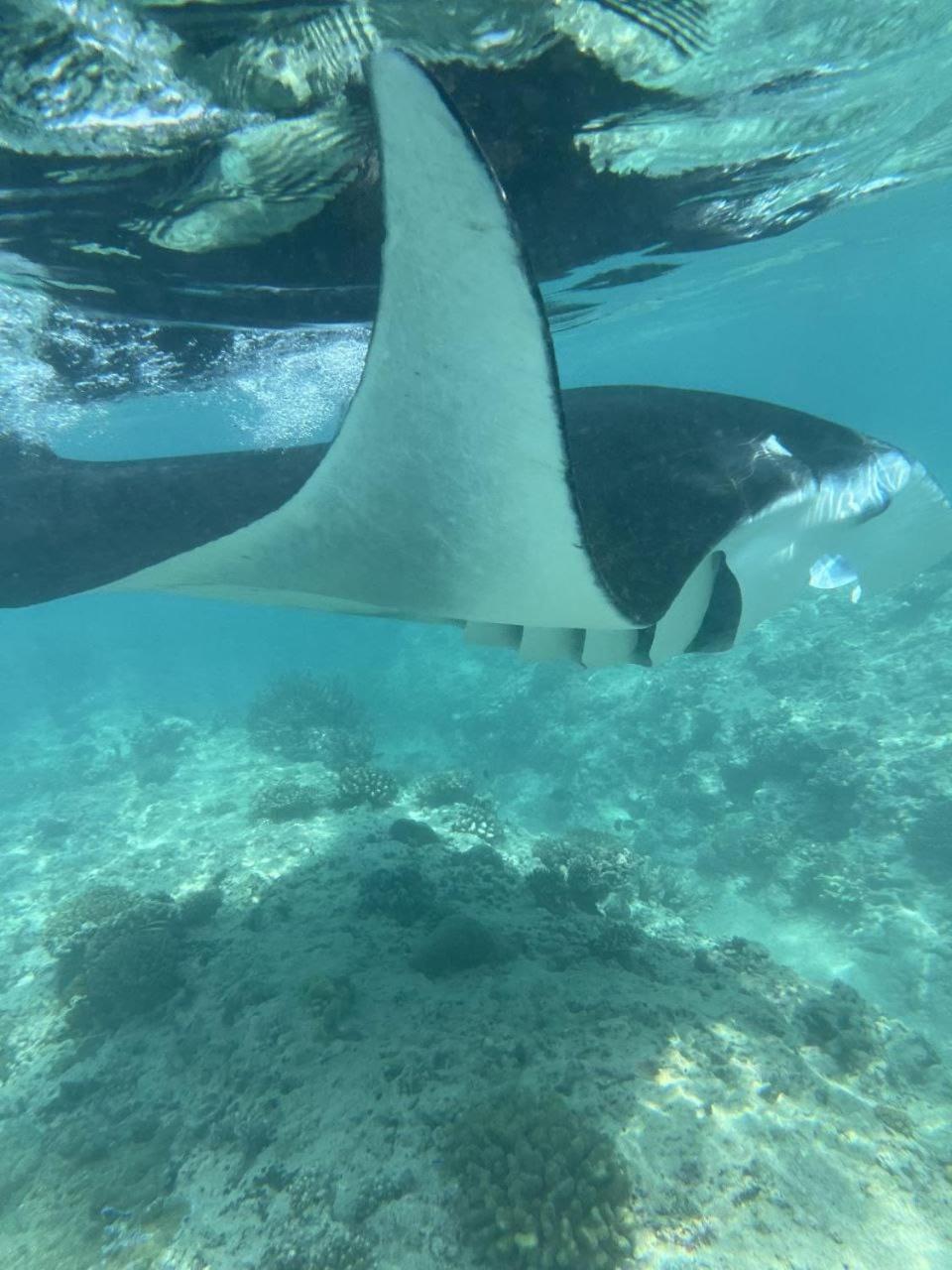 Mamello Beach Club Maldives Feridhoo Kültér fotó